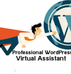 wordpress virtual assitant hireva