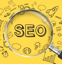 SEO Expert