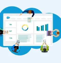 Salesforce CRM & Project Management