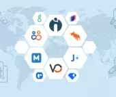 Top Software Agency Solutions